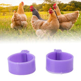 100 PCS Chicken Foot Ring Duck Hen Goose Legs Rings Clip Poultry Foot Ring Farming Tools Purple 16mm/0.63in