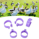 100 PCS Chicken Foot Ring Duck Hen Goose Legs Rings Clip Poultry Foot Ring Farming Tools Purple 20mm/0.79in