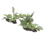 2pcs Aquarium Plants Decorations High Simulation Fish Tank Artificial Landscaping Plants for Fish Tanks Aquariums