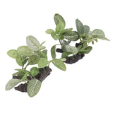2pcs Aquarium Plants Decorations High Simulation Fish Tank Artificial Landscaping Plants for Fish Tanks Aquariums - 45-Degree Angle