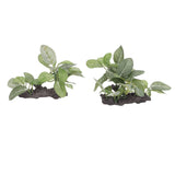 2pcs Aquarium Plants Decorations High Simulation Fish Tank Artificial Landscaping Plants for Fish Tanks Aquariums