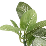 2pcs Aquarium Plants Decorations High Simulation Fish Tank Artificial Landscaping Plants for Fish Tanks Aquariums - Extra Image