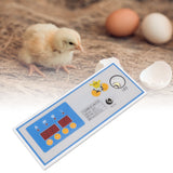 60W 12V Incubator Thermostat Plastic Automatic Incubator Temperature Controller for Mini Incubator Accessory