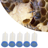 5Pcs Queen Bee Marking Cage Soft Safe Lightweight Queen Bee Marking Cage Bottle Marker for Gardening Potted Plants