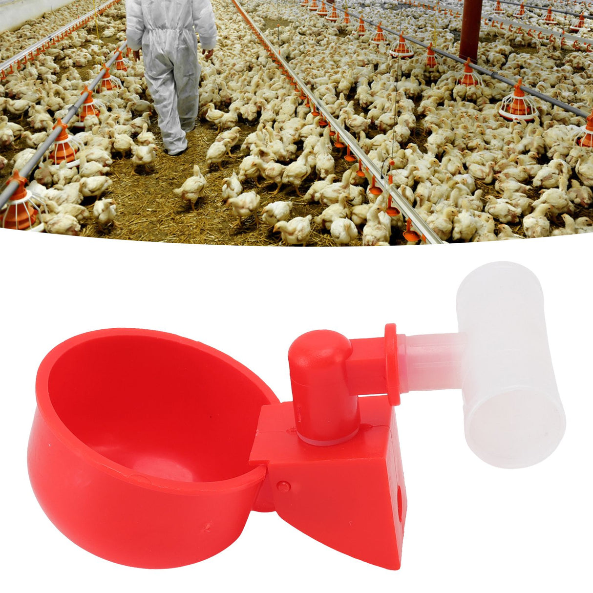 10 Set Chicken Waterer Cups Automatic Filling Prevent Leakage Pigeon Drinking Bowl for Ducks Birds G1/2