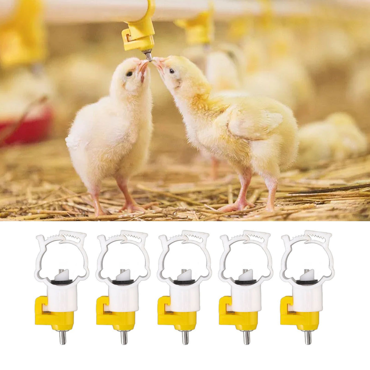 20pcs Chicken Water Nipples Thickened Ball Valve Automatic Drinking Nipples for Poultry