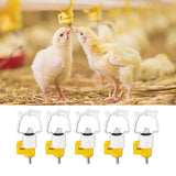 20pcs Chicken Water Nipples Thickened Ball Valve Automatic Drinking Nipples for Poultry