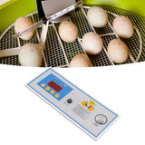 Incubator Temperature Controller Digital Full Automatic Incubator Thermostat for Egg 30W 12V - Extra Image