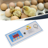 Incubator Temperature Controller Digital Full Automatic Incubator Thermostat for Egg 30W 12V - Extra Image