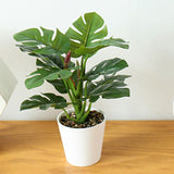 Simulated Plant Bonsai Lifelike Decorative Indoor Artificial Potted Plants for Home 61894