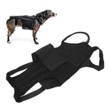 Dog Back Bracer Polyester Strong Rigidity Flexible Back Supporting Vest for Walking L - Extra Image