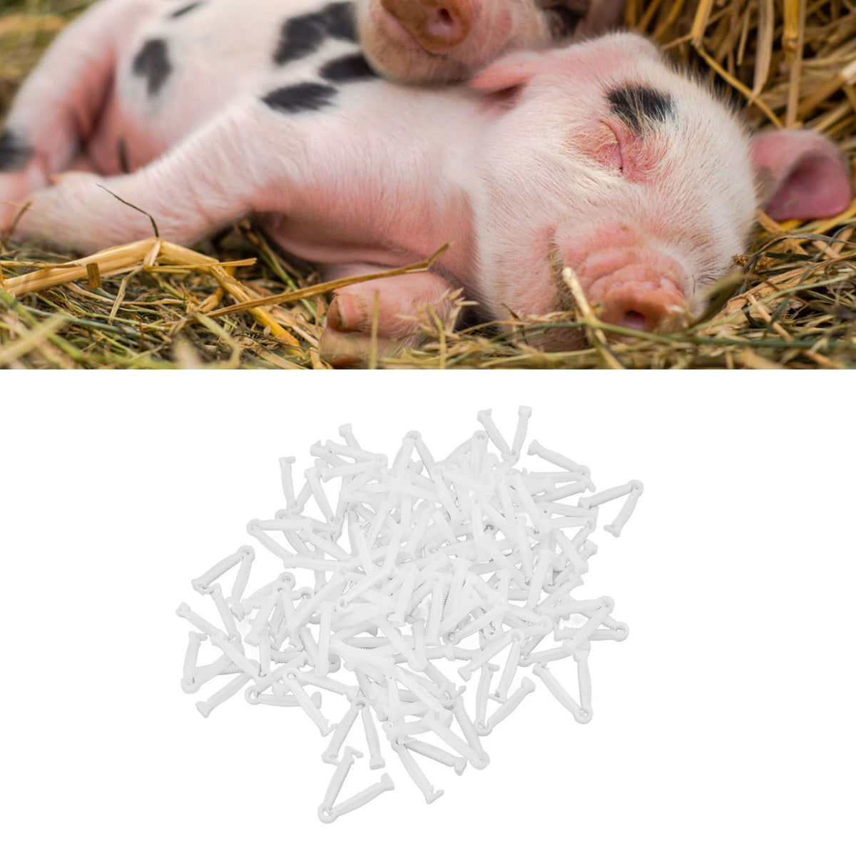 100pcs Pig Umbilical Cord Clamps White Plastic Livestock Umbilical Cord Clips for Production with 1 Hemostatic Forcep