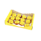 12 Pcs Mini Easter Chicks Yellow Easter Decoration Toy Spring Home Garden Decor Party Favors and Gifts for Kids - Front View