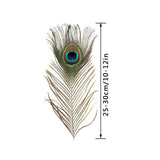 10PCS Natural Peacock Feather for House DIY Craft Holiday Wedding Decorations