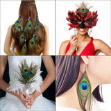 10PCS Natural Peacock Feather for House DIY Craft Holiday Wedding Decorations - Rear View