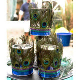 10PCS Natural Peacock Feather for House DIY Craft Holiday Wedding Decorations - Low Angle
