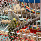 4 Piece Wood Bird Perch Wooden Hanging Toy Perch Toy for Conure Budgie and Other Small Birds - Close-Up Angle