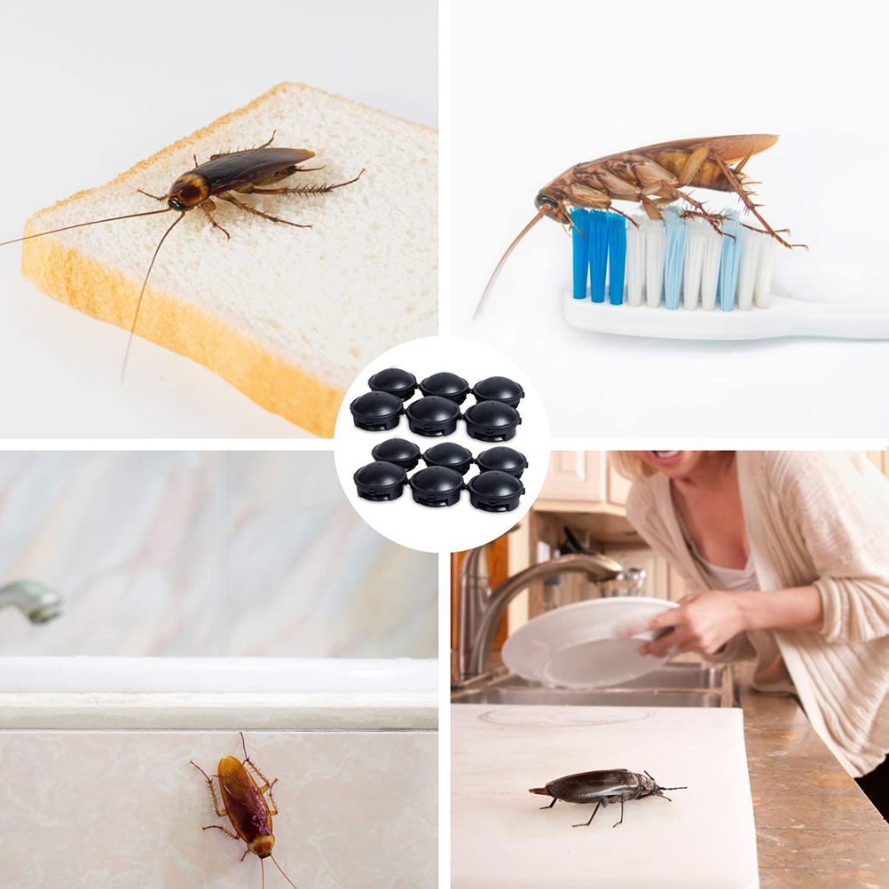 12Pcs Roach Traps Cockroach Killer Built In Bait Indoor Home Cockroach Bait Traps Child and Pet Safe