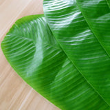 4PCS Artificial Banana Leaves Large Tropical Leaves Decorations Party Supplies