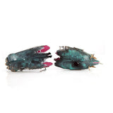 Aquarium Shipwreck Decorations Set Resin Ship Fish Tank Ornaments for Aquarium Environments Decor Accessories - Close-Up Angle