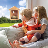 Birdhouse Bird Feeder Wooden Hanging Nest Box Outdoor Window Cage with Suction Cups