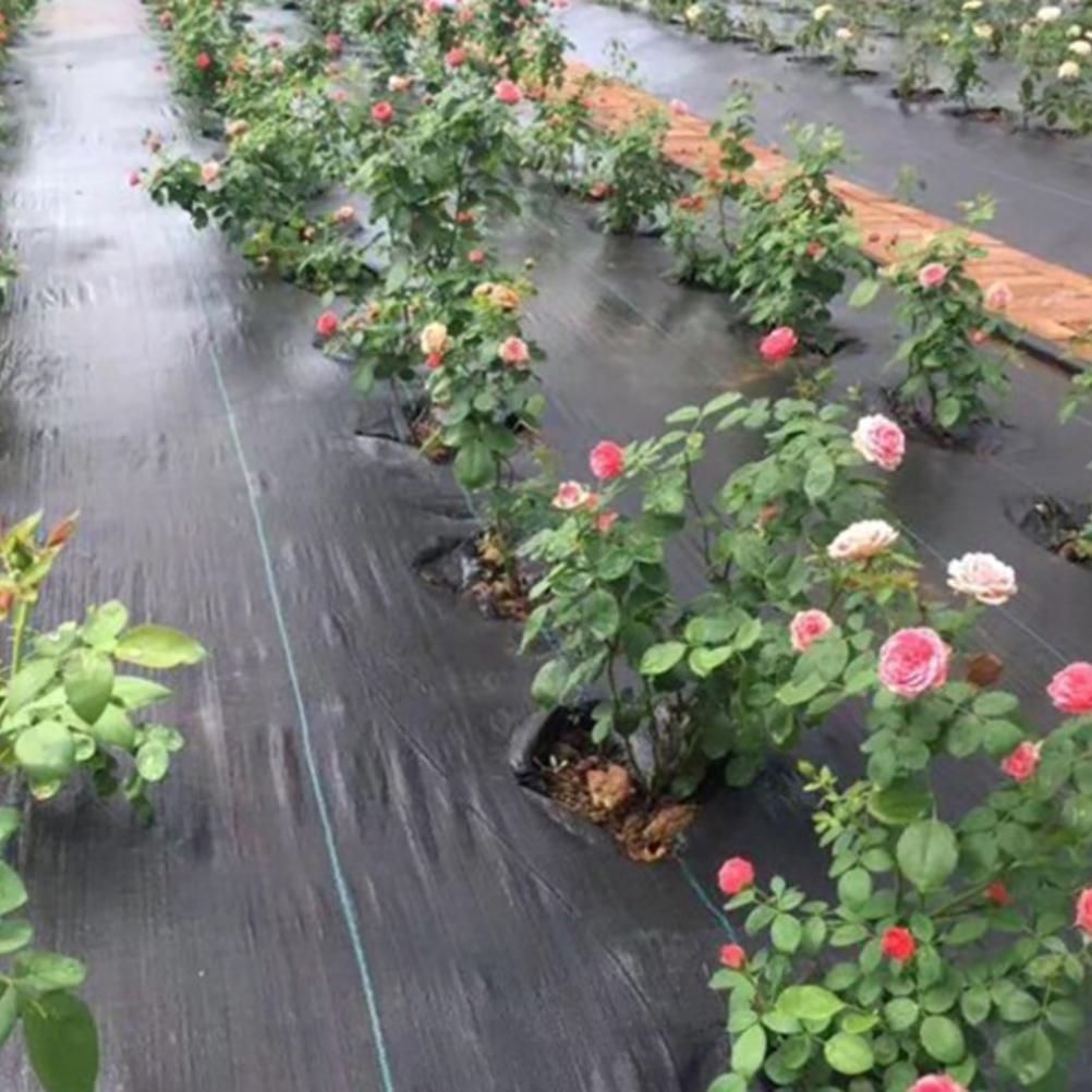 Weed Barrier Landscape Fabric Heavy Duty Ground Cover Weed Cloth Durable Driveway Cover Outdoor Weed Mat