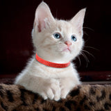 3 Pcs Red Adjustable Pet Cat Anti Flea Mite Tick Collar Cat Flea Prevention Collar Pet Supplies - Rear View