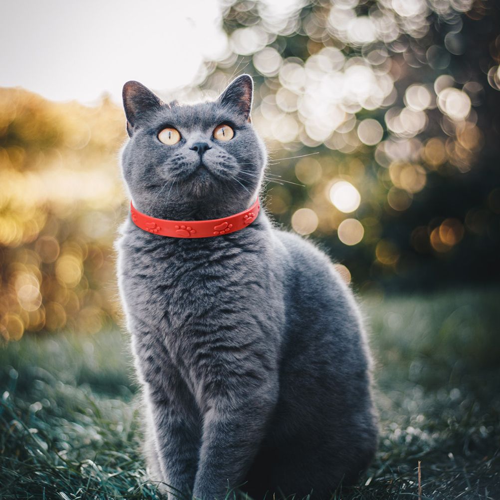 3 Pcs Red Adjustable Pet Cat Anti Flea Mite Tick Collar Cat Flea Prevention Collar Pet Supplies