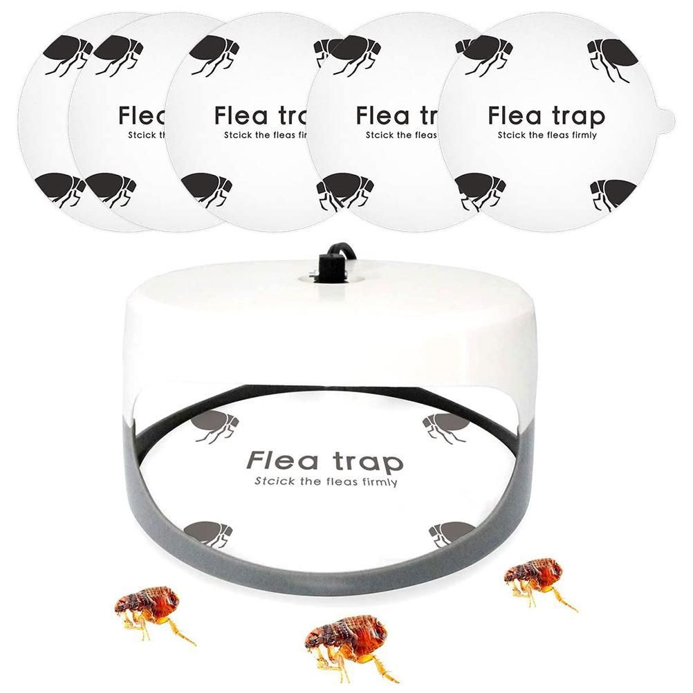 5 Pcs Flea Trap Stickers Round Sticky Fly Traps Dome Flea Trap Refill for Home Bedroom Pet House