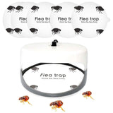 5 Pcs Flea Trap Stickers Round Sticky Fly Traps Dome Flea Trap Refill for Home Bedroom Pet House