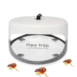 5 Pcs Flea Trap Stickers Round Sticky Fly Traps Dome Flea Trap Refill for Home Bedroom Pet House