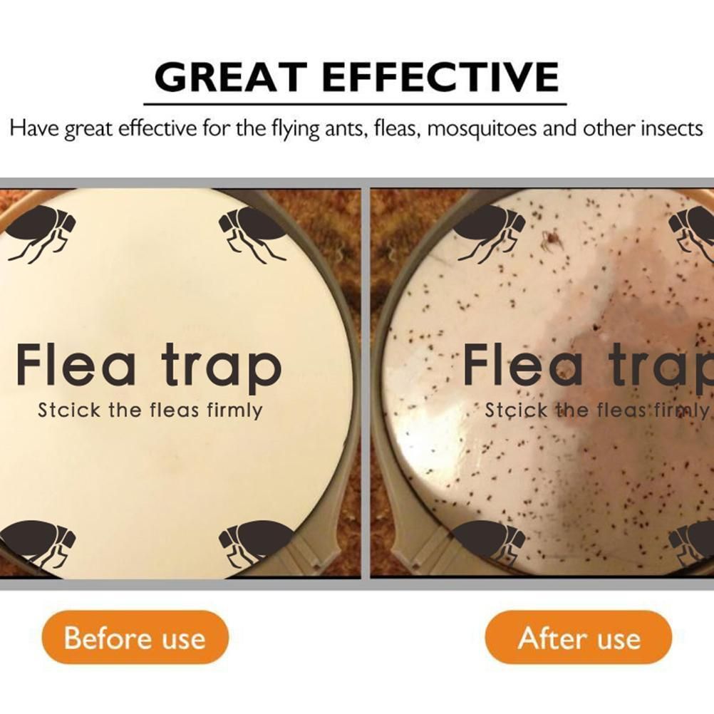 5 Pcs Flea Trap Stickers Round Sticky Fly Traps Dome Flea Trap Refill for Home Bedroom Pet House