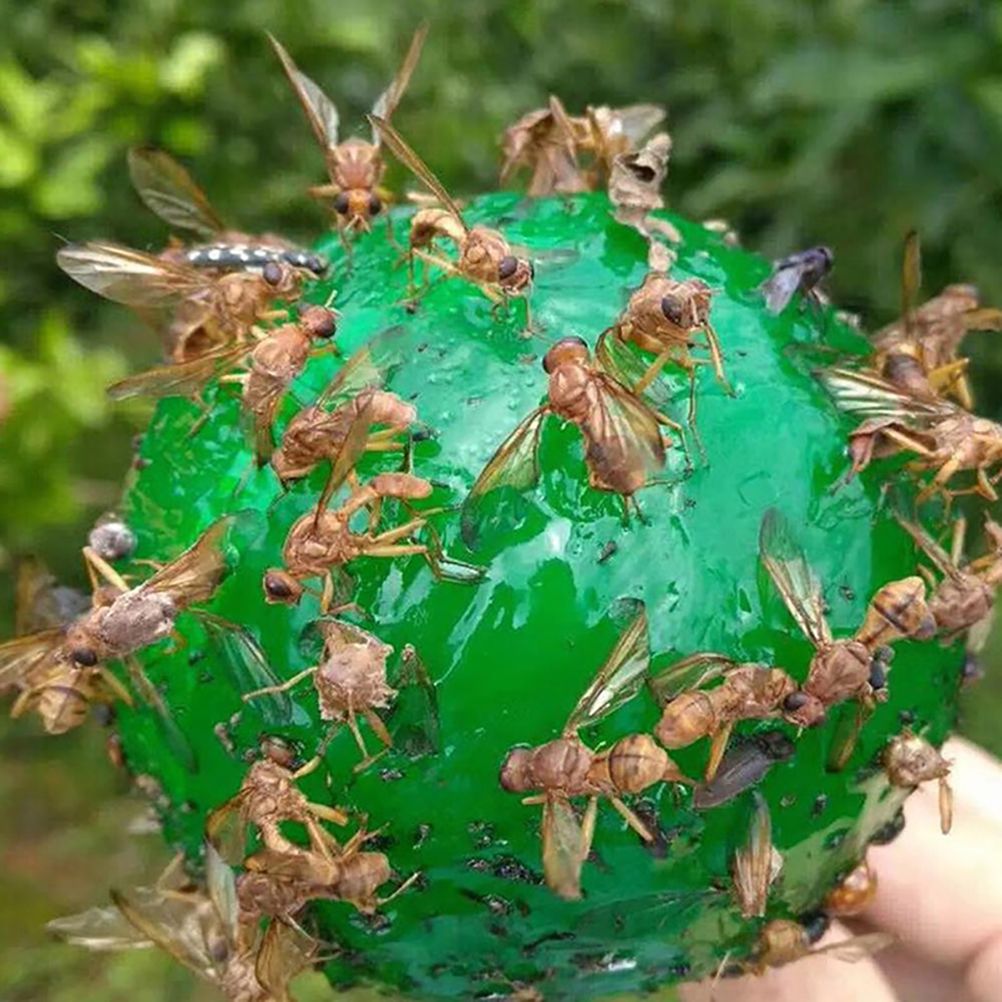 8pcs Hanging Fly Trap Ball Fruit Fly Catcher Sticky Trap Outdoor Pest Catcher for Garden Plants