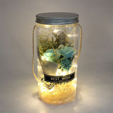 Romantic Eternal Rose Never Withered Rose Night Light Wishing Bottle Preserved Flowers Soap Rose Flower Glass Wishing Bottle