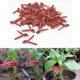 100PCS Plants Graft Clips Plastic Grafting Clips Practical Garden Plant Clips