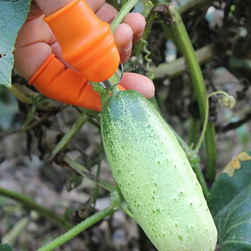 Picking Thumb Cutter Finger Sleeve Set Picking Tool for Harvesting Plant Gardening Fruit Vegetable Picker