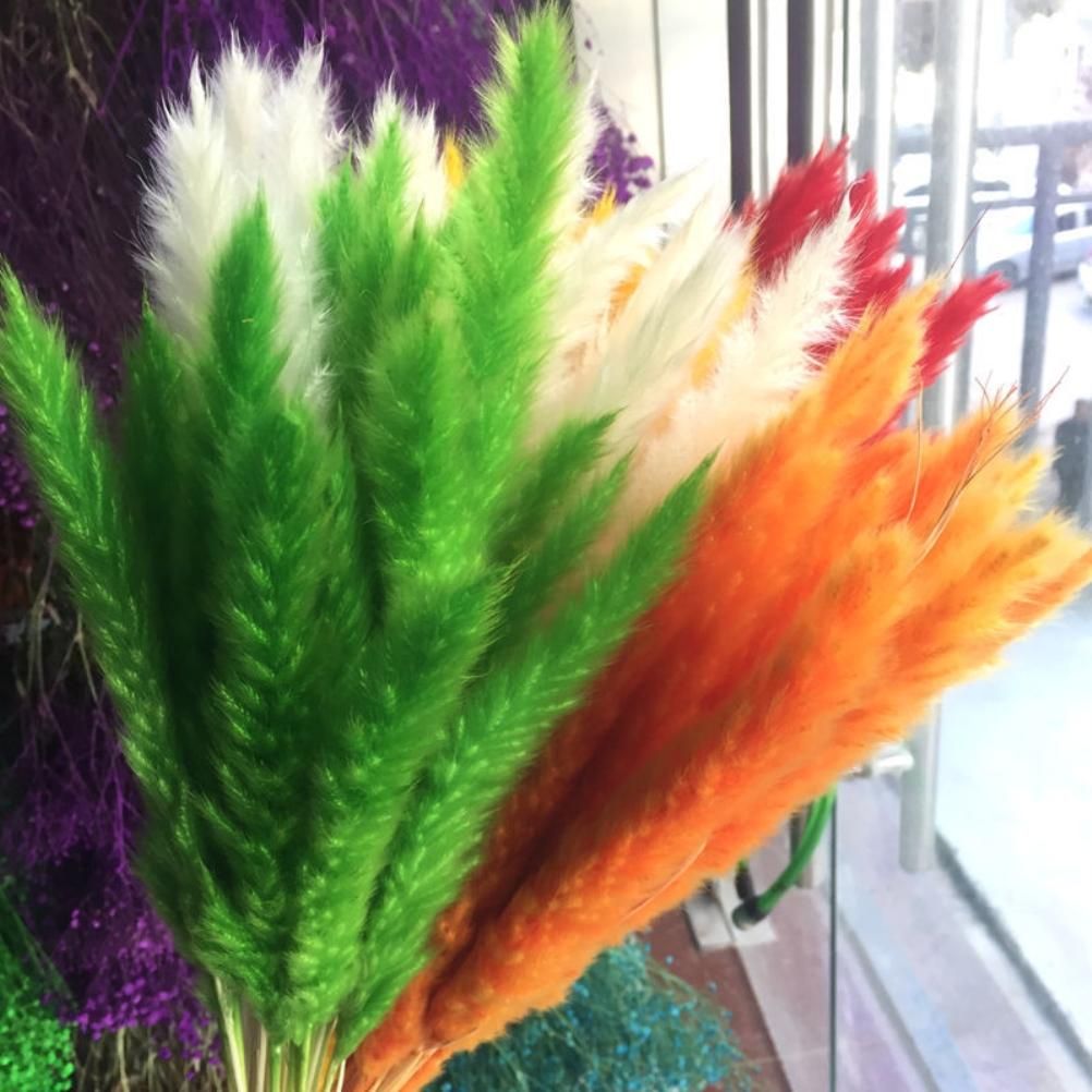 Small Dried Pampas Grass Phragmites Decoration Natural Small Pampas Grass Dried Flower Decoration Photography Props for Hotel Wedding