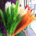 Small Dried Pampas Grass Phragmites Decoration Natural Small Pampas Grass Dried Flower Decoration Photography Props for Hotel Wedding