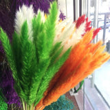 Small Dried Pampas Grass Phragmites Decoration Natural Small Pampas Grass Dried Flower Decoration Photography Props for Hotel Wedding - Side View