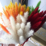 Small Dried Pampas Grass Phragmites Decoration Natural Small Pampas Grass Dried Flower Decoration Photography Props for Hotel Wedding - Top-Down View