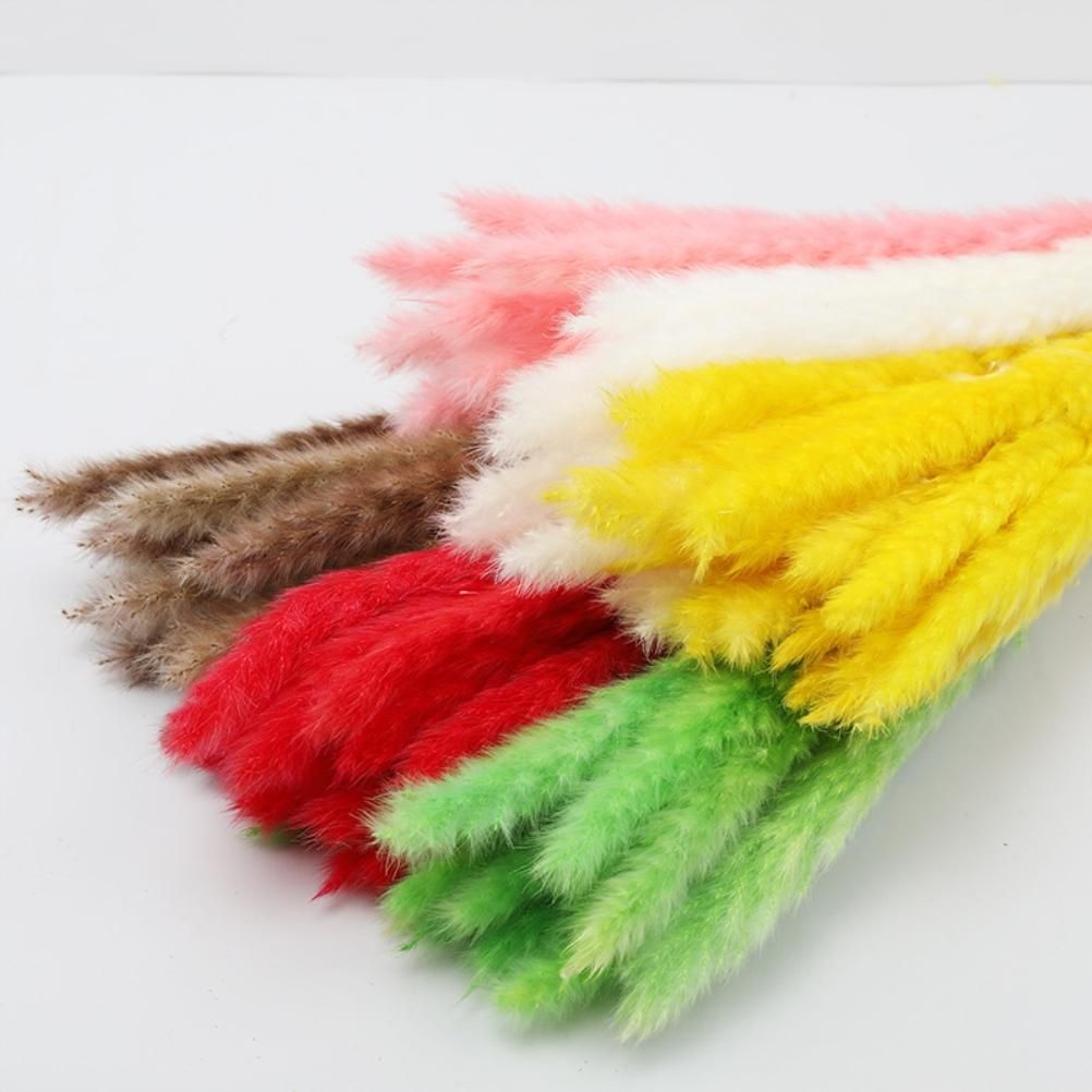 Small Dried Pampas Grass Phragmites Decoration Natural Small Pampas Grass Dried Flower Decoration Photography Props for Hotel Wedding