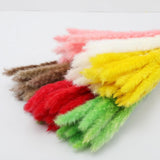 Small Dried Pampas Grass Phragmites Decoration Natural Small Pampas Grass Dried Flower Decoration Photography Props for Hotel Wedding - Extra Image