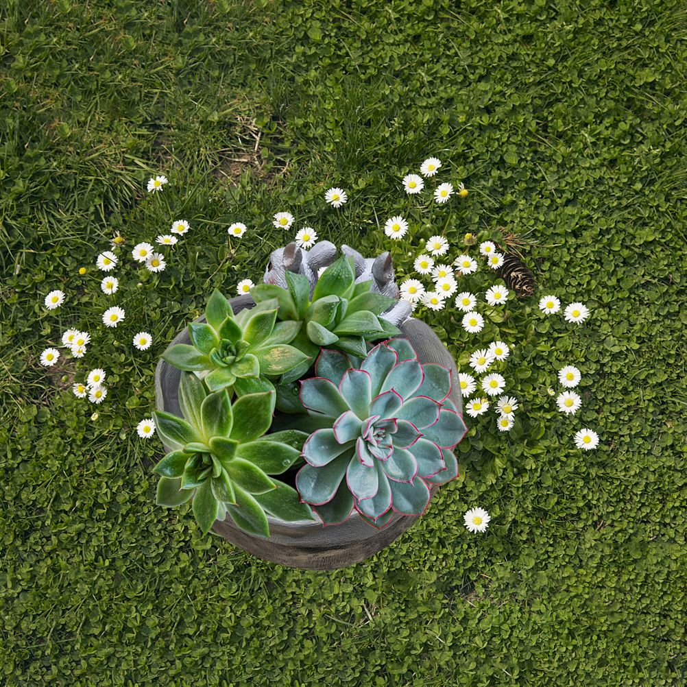 Rabbit Flower Pot Succulent Planter Garden Pots Bunny Decorative Flower Pot Animal Shaped Planter Pots Art Decorations