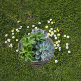 Rabbit Flower Pot Succulent Planter Garden Pots Bunny Decorative Flower Pot Animal Shaped Planter Pots Art Decorations - Low Angle