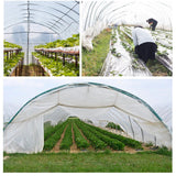 PE Plastic Film Transparent Dustproof Garden Plant Cover Greenhouse Agricultural Accessory2x8m / 6.6x26.2ft - Extra Image