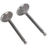 Valve Set Intake Exhaust Valves Replacement Parts for Gasoline Engine Generator 190F/GX420