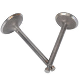 Valve Set Intake Exhaust Valves Replacement Parts for Gasoline Engine Generator 190F/GX420