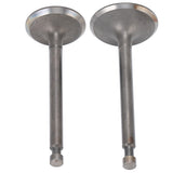 Valve Set Intake Exhaust Valves Replacement Parts for Gasoline Engine Generator 190F/GX420 - Low Angle