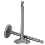 Intake Exhaust Valves Motor Replacement Part Accessory Fit for 188F/GX390 Generator