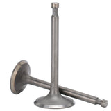 Intake Exhaust Valves Motor Replacement Part Accessory Fit for 188F/GX390 Generator - Side View